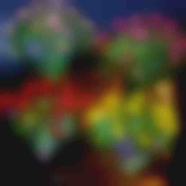Ηλιακό φωτιστικό λουλούδι για κήπο, δίπλα στην πισίνα, κάμπινγκ, τάφο | ROSILUME