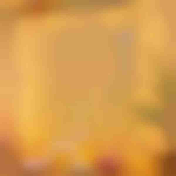 Χριστουγεννιάτικη κουρτίνα με φωτάκια LED - | CURLIGHT